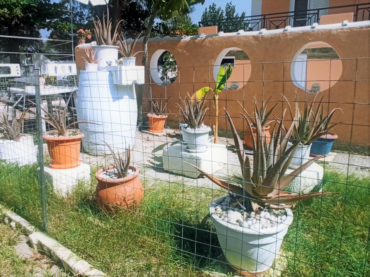 Villa Dina Hriszí Aktí Haniá Kültér fotó